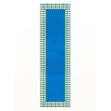 Blue Summer Runner