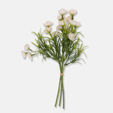 White Hellebore Bunch