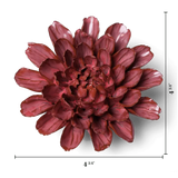 Blush Pink Star Dahlia