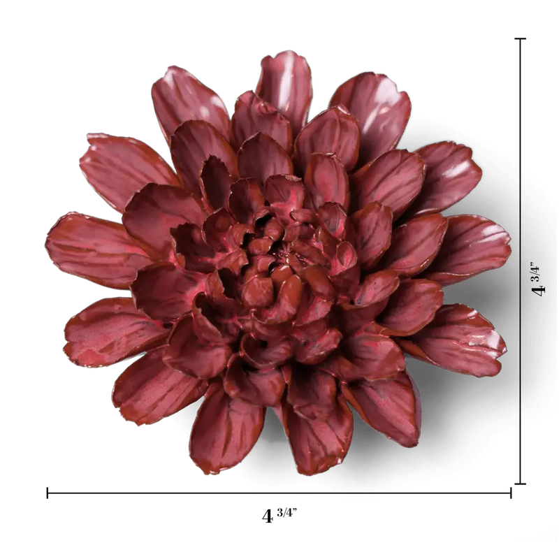 Blush Pink Star Dahlia