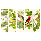 S/5 Birdsong Bookmarks