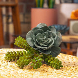 Fake Succulents Wholesale Echeveria 15 Varieties