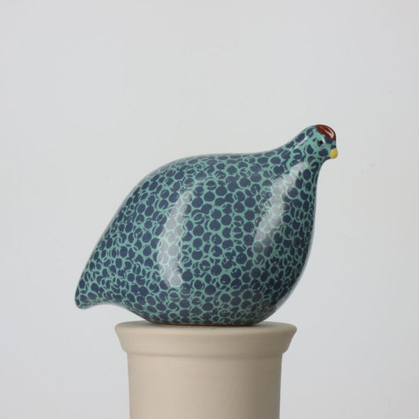 Electric Blue Spotted Turquoise Quail