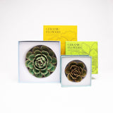 Powder Blue Ranunculus