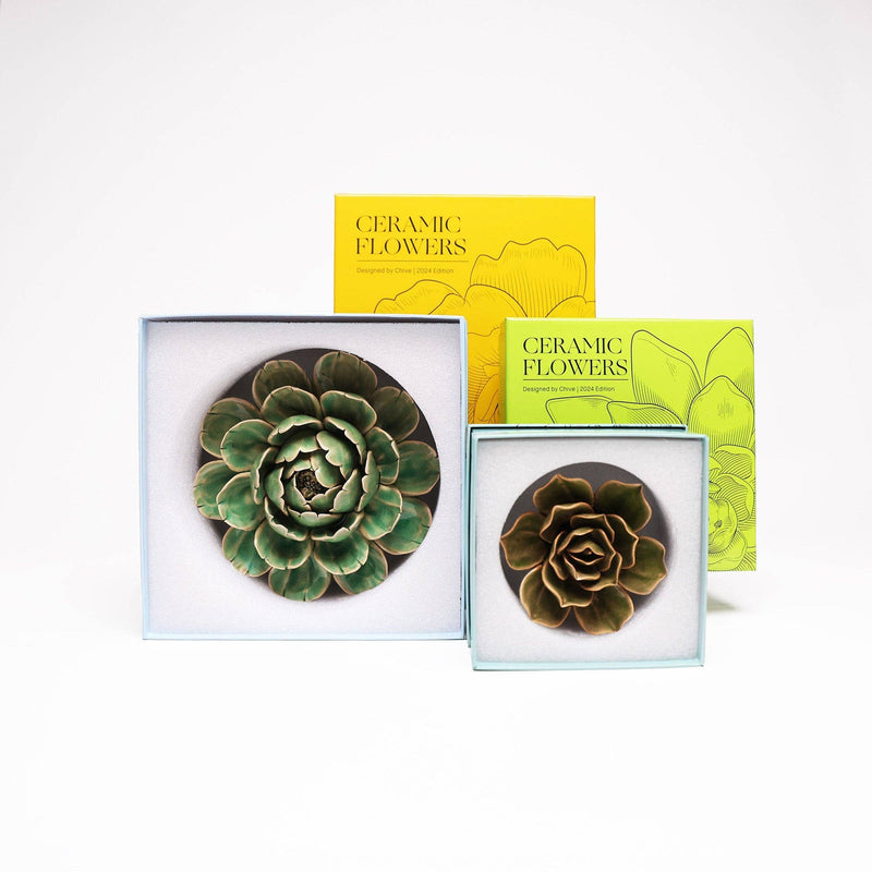 Powder Blue Ranunculus