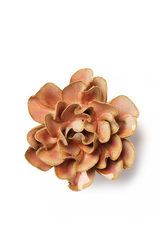 Rose Pink Hawthorn Rustic Gifts Ceramic Flower