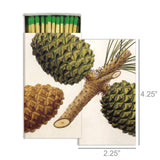 Matches - Pinecones
