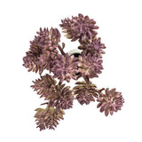 Fake Succulents Wholesale Echeveria 15 Varieties