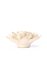 Ceramic Flower Wall Accessories Ivory Snowdrop