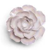 Pearl Ranunculus Gift Box Dried Flowers Ceramic Flower