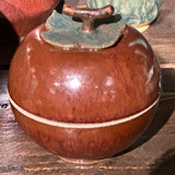 Red Persimmon